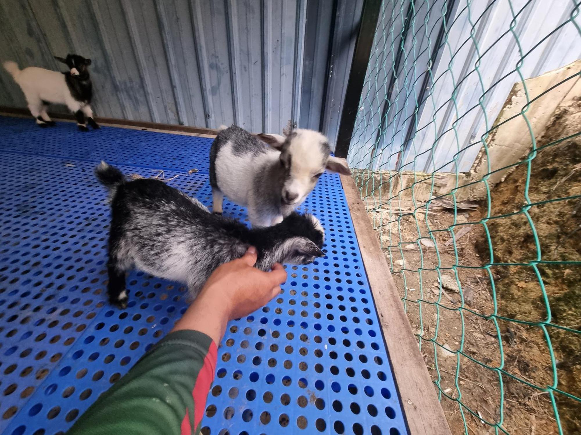 Tamu Eco Lenggeng Hotel Bagian luar foto
